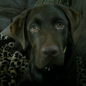 Meet your Posher, Anita